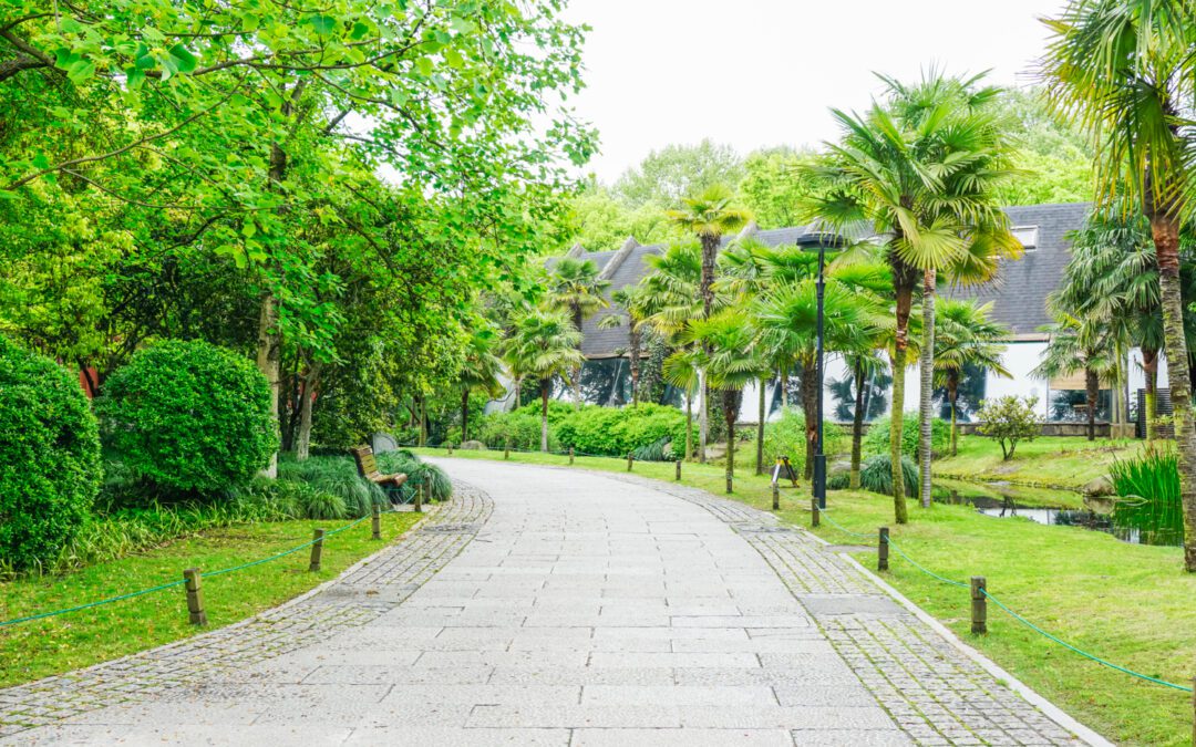 Our Process for Building Durable Outdoor Walkways in Langley