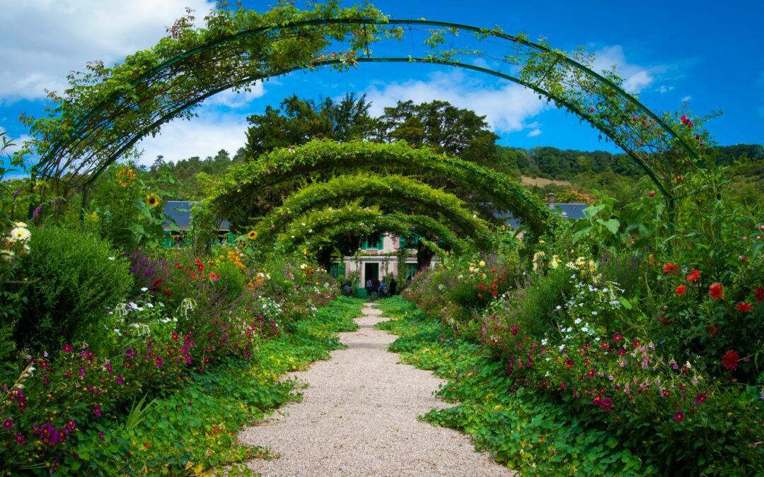 How to Create Wildlife-Friendly Gardens in Langley